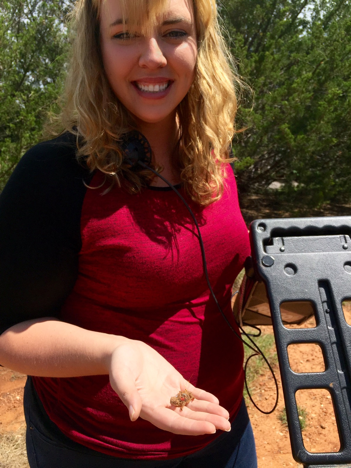 Jennie Mook holds Texas horned lizard hatchling